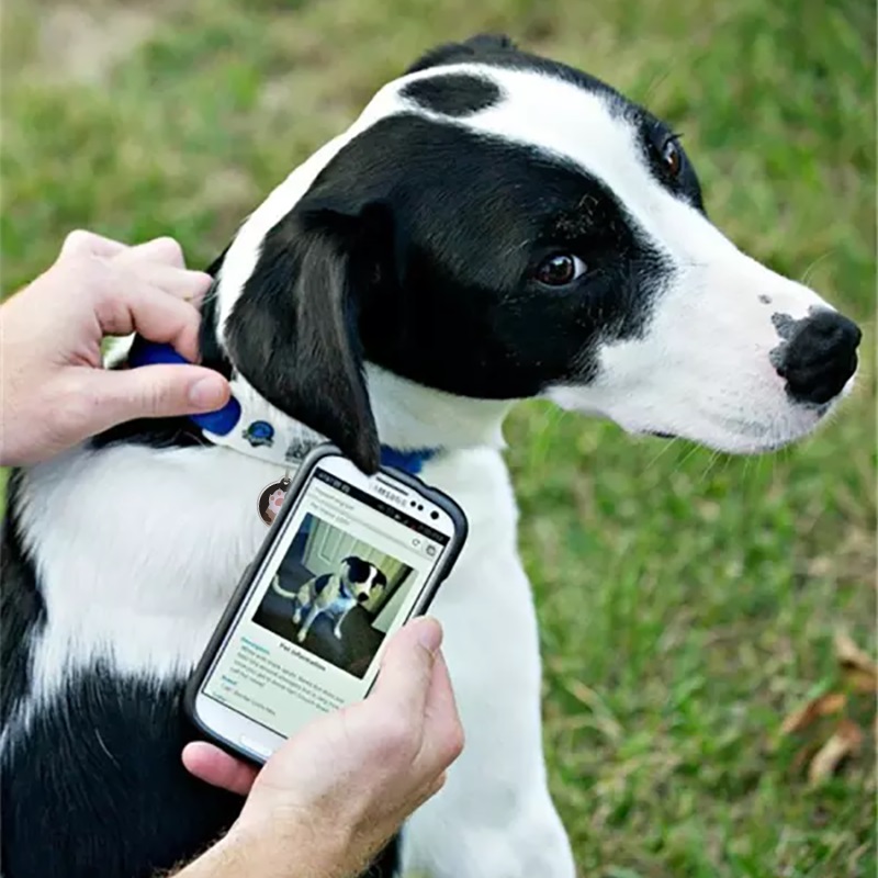 ماء الايبوكسي الذكية NFC رمز الاستجابة السريعة PET الكلب معرف العلامة المصنعة